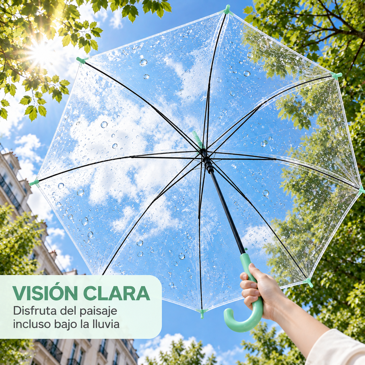 Home Universal® Paraguas Transparente Grande 120 cm, Paraguas de Cúpula con Mango Curvo, Apertura Semiautomática (Verde)