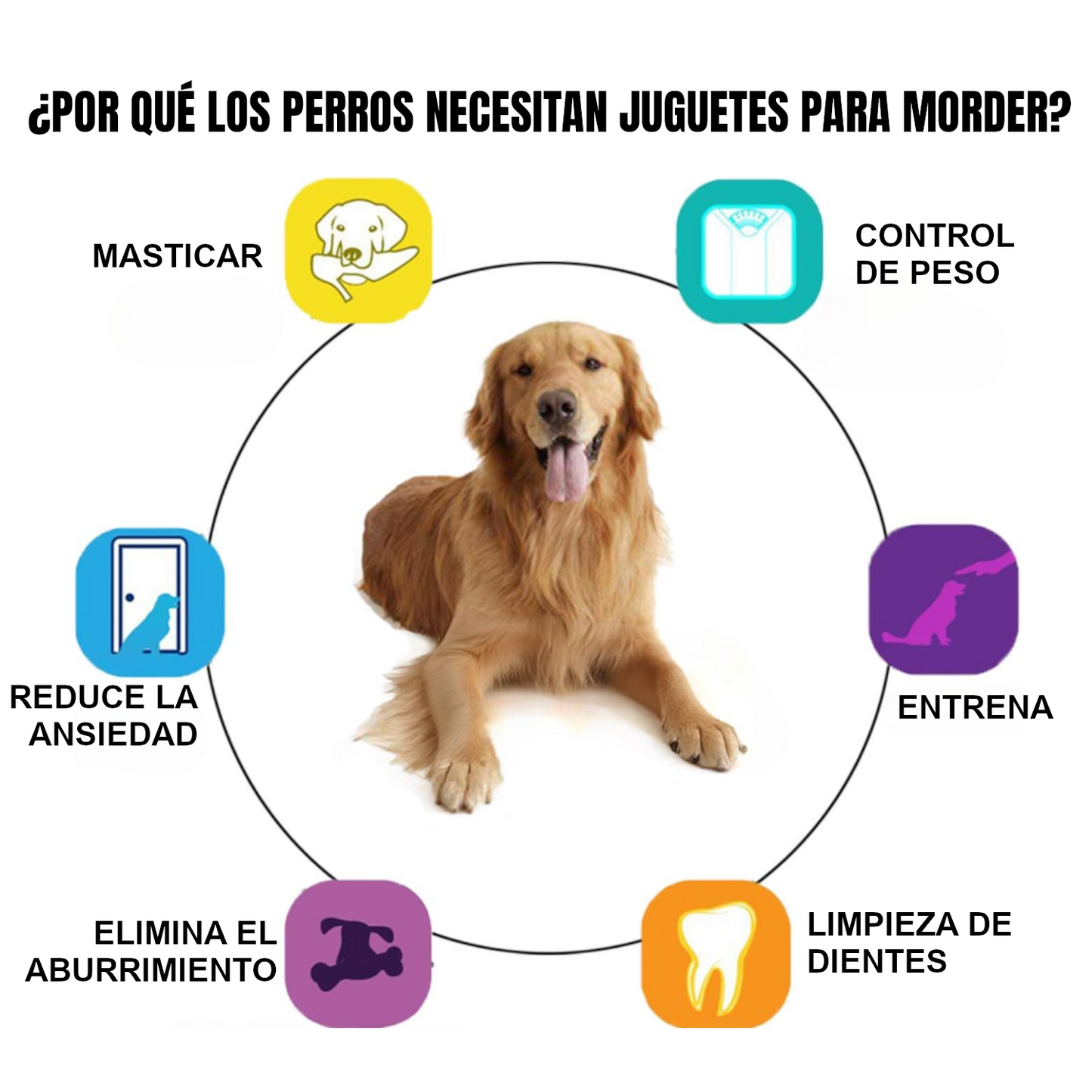 Home Universal® Juguete Mordedor para Perros de Goma Resistente con Textura Antideslizante | Hueso con Púas para Limpieza Dental y Encías Sanas | Ideal para Perros Pequeños, Medianos y Grandes (3 Unidades - Azul, Rosa, Verde)