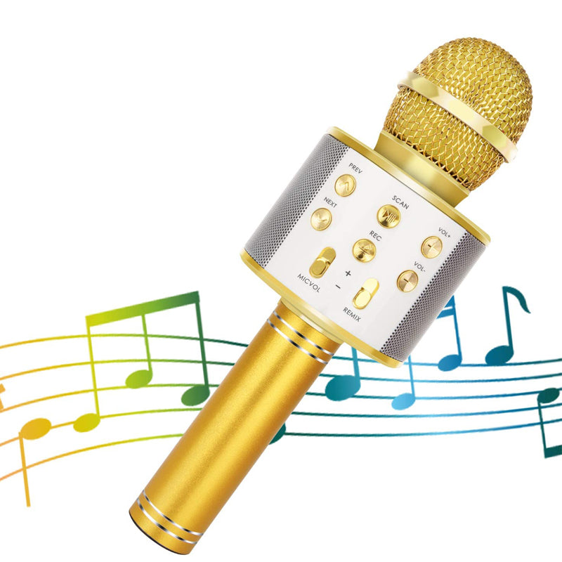 Micrófono con altavoz inalámbrico Bluetooth WS-858 de mano para Karaoke reproductor USB KTV