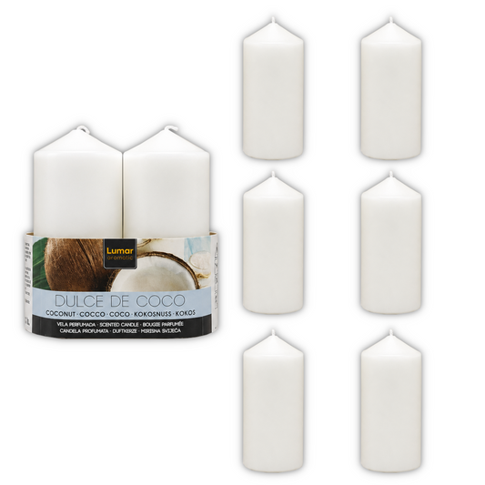 Home Universal® 6 Velas Aromáticas Perfumadas, 9 Aromas Disponibles, 2 Tamaños Disponibles, Velas Decorativas para Hogar, Relax, Spa y Aromaterapia (COCO Ø47 × 110 mm)
