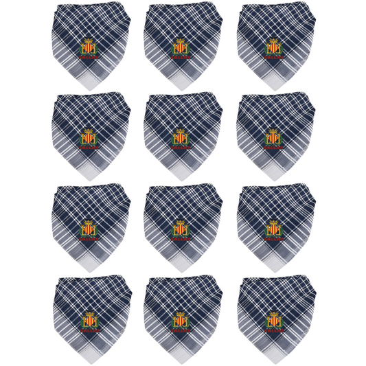 Home Universal® Pañuelo Fallero de Valencia con Escudo, Azul y Blanco 57x57cm, Azul 55x55cm  – Pañuelo Tradicional para Fallas y Fiestas Valencianas (Blanco y Azul)