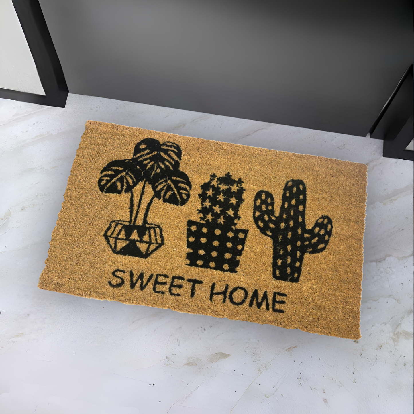 HOME UNIVERSAL | Felpudos de Fibra de Coco con Base Antideslizante 60x40x1.5CM (CACTUS I)