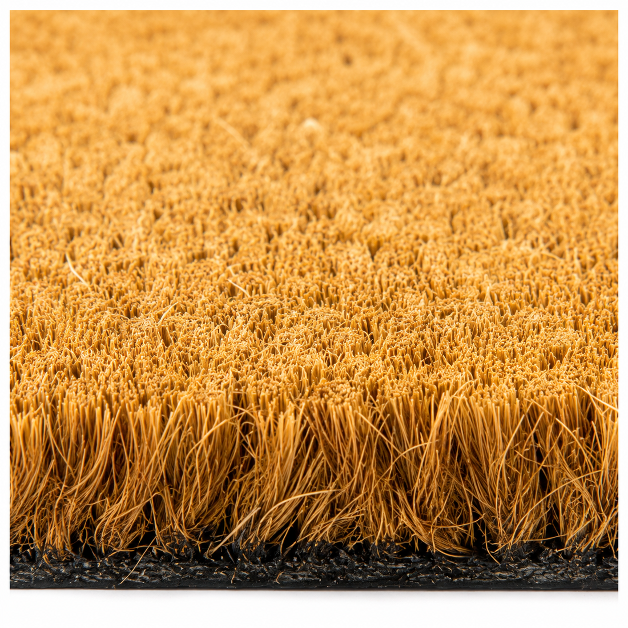 Home Universal ® Felpudos 60x40CM Fibra de Coco | Base Antideslizante de Caucho | Apto para el Exterior (Caniche Home )