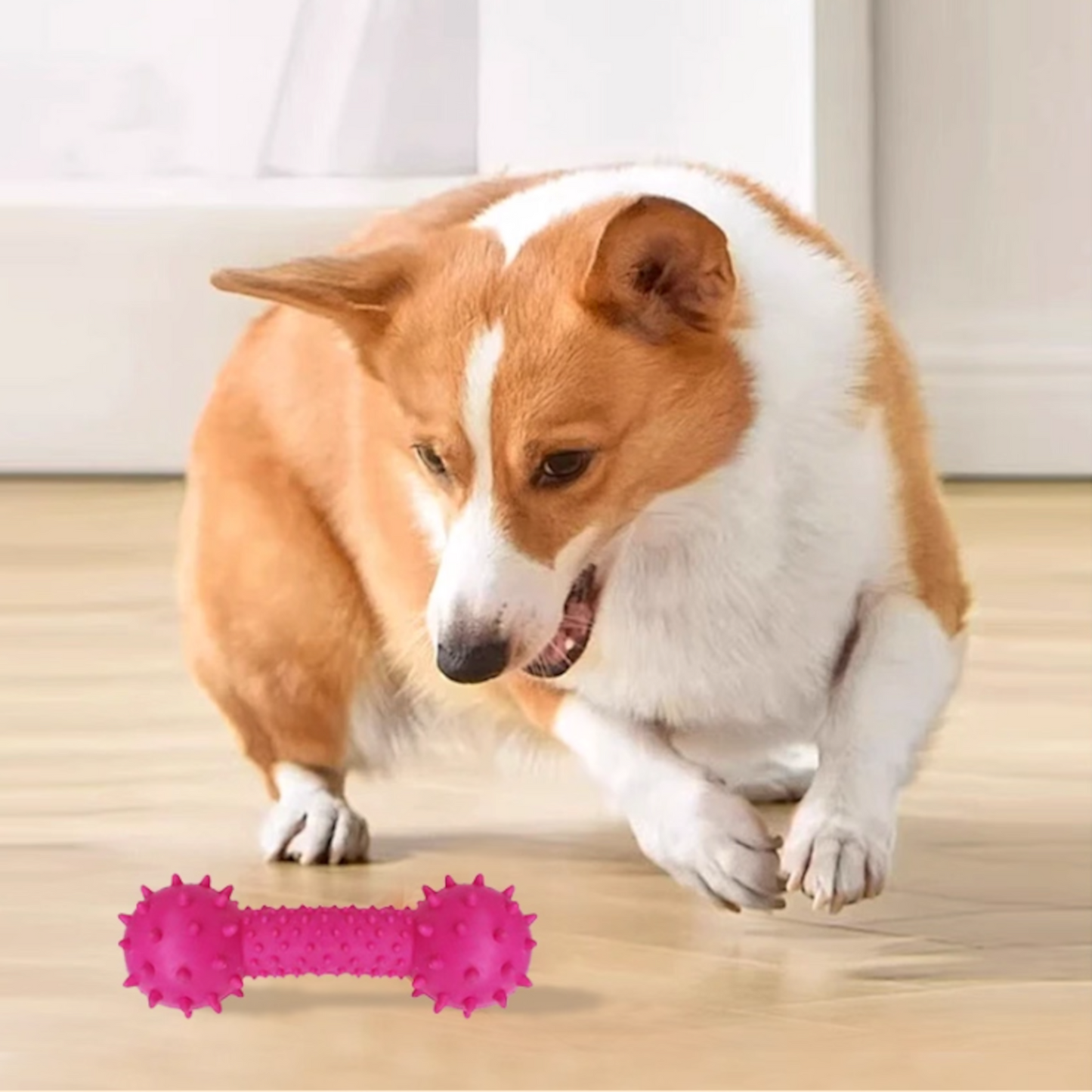 Home Universal® Juguete Mordedor para Perros de Goma Resistente con Textura Antideslizante | Hueso con Púas para Limpieza Dental y Encías Sanas | Ideal para Perros Pequeños, Medianos y Grandes (3 Unidades - Azul, Rosa, Verde)