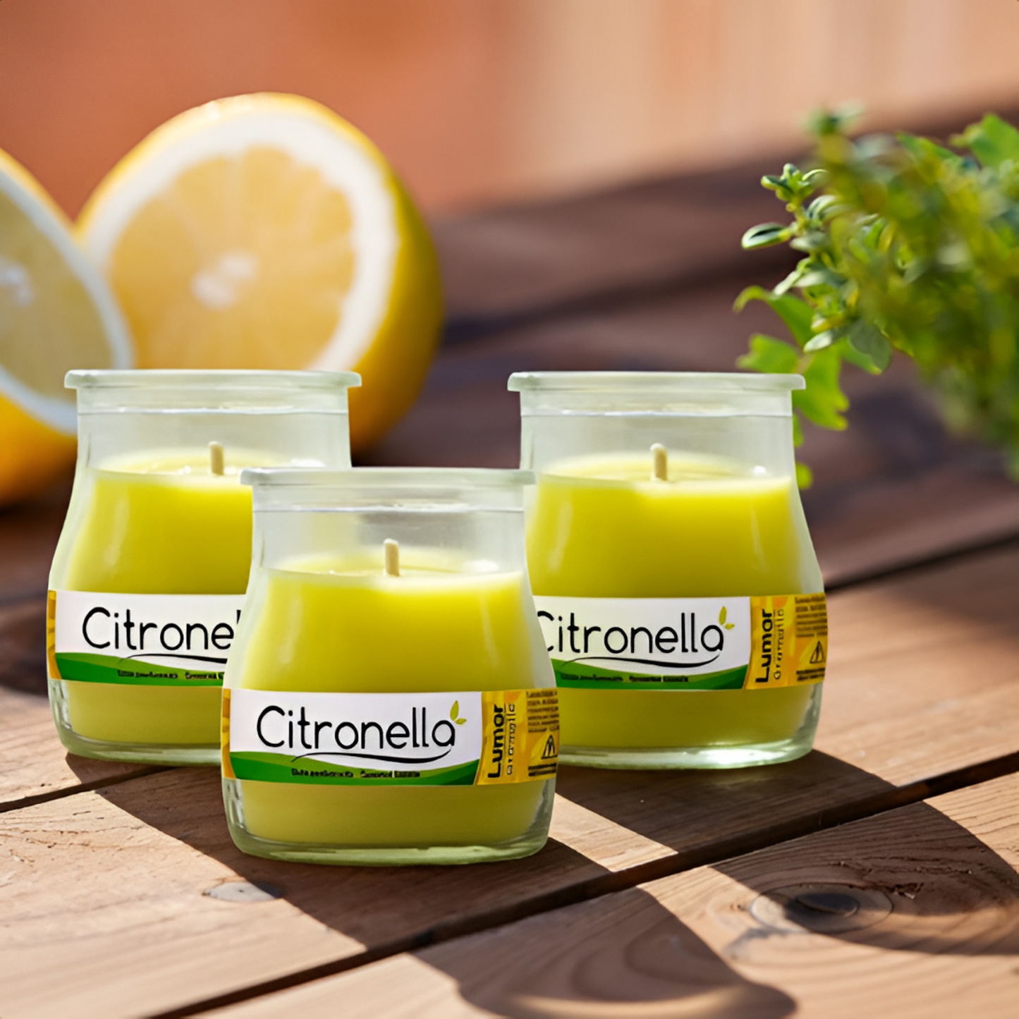 Home Universal® Pack de 3/6/12 Velas Aromáticas en Vaso de Cristal Reciclable LUMAR AROMATIC – 24h de Duración por Vela – Cera Vegetal Perfumada – 16 Fragancias Disponibles – Fabricadas en España – 7x6cm (Canela en Rama)